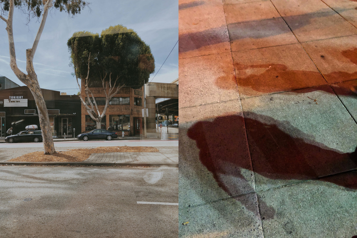 Bild 2: travelling: USA