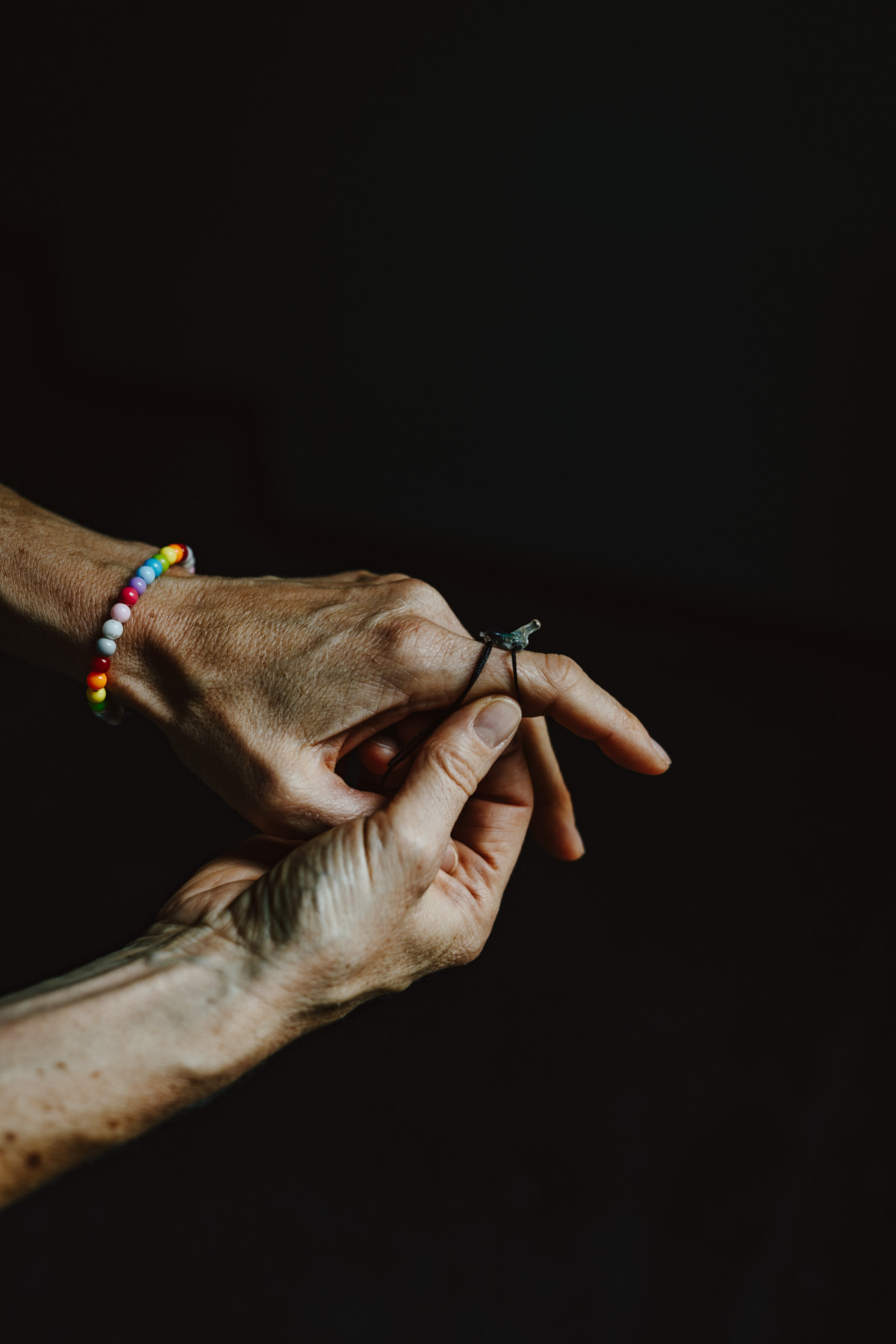 Bild 4: Vogelwarte Helgoland