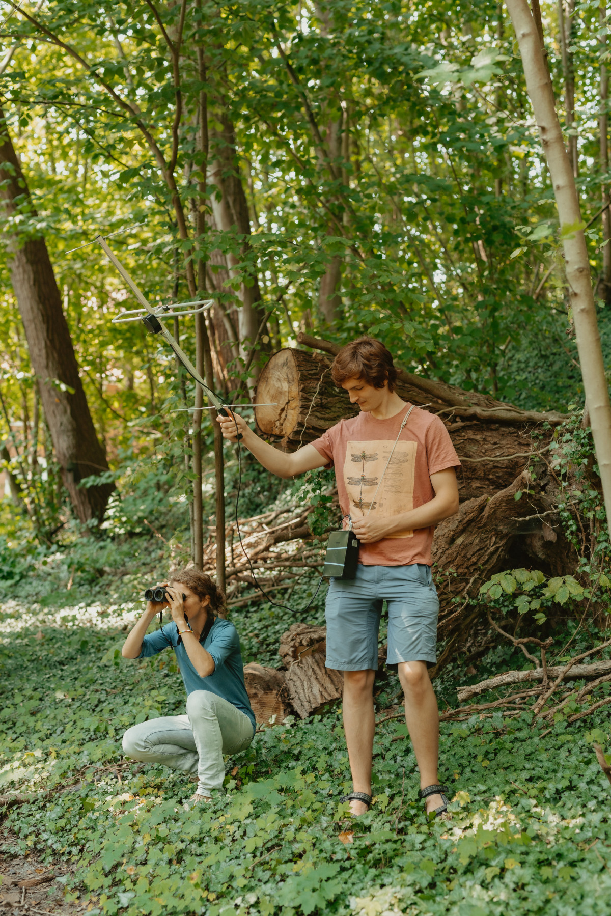 Bild 6: Vogelwarte Helgoland