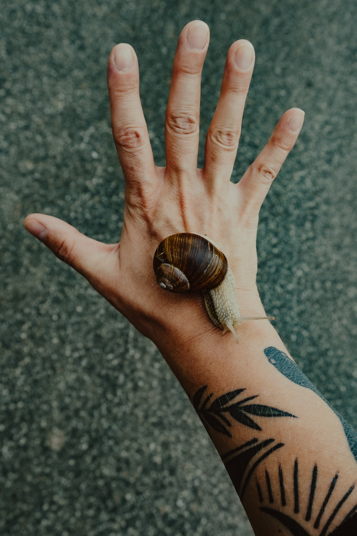 Image 1: Wandern in Mecklenburg