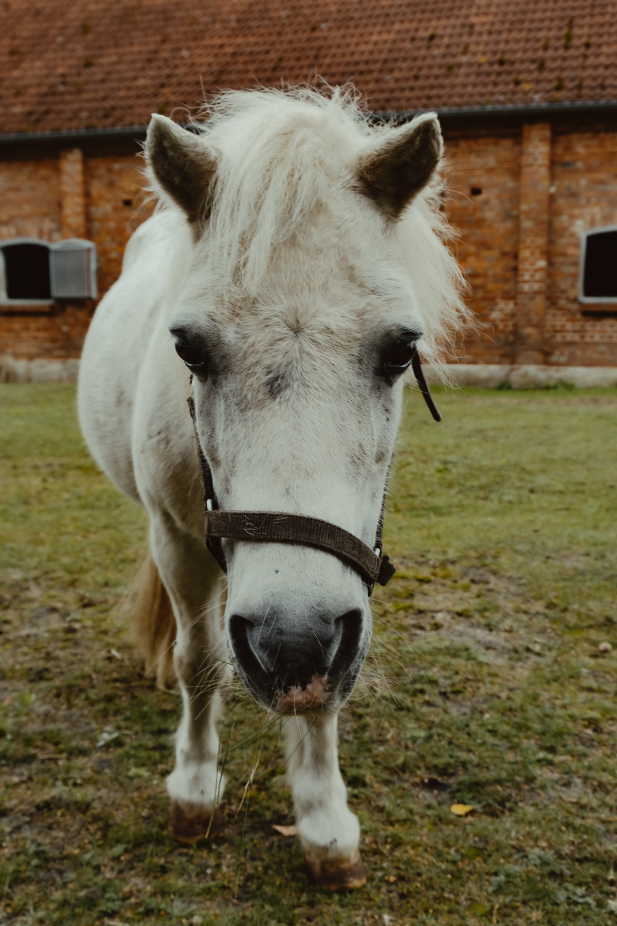 Bild 11: Wandern in Mecklenburg