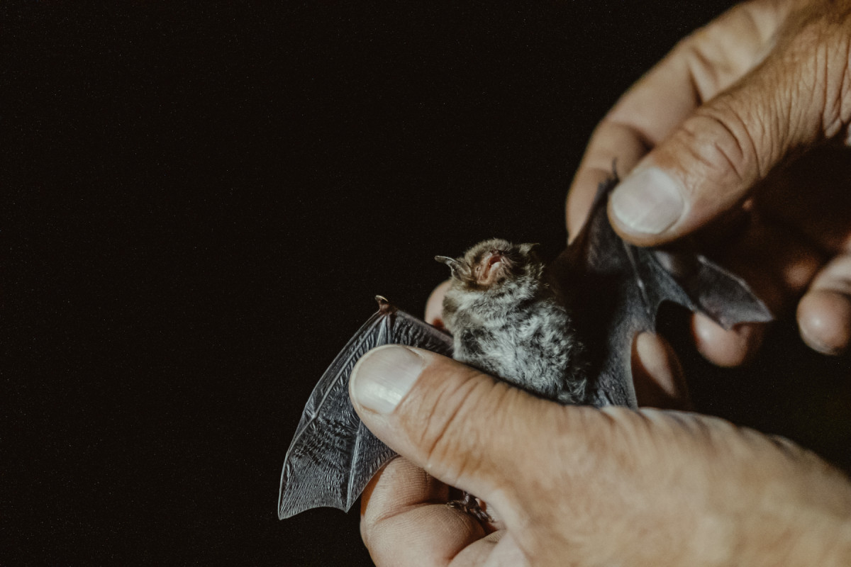 Bild 19: Wandern in Mecklenburg