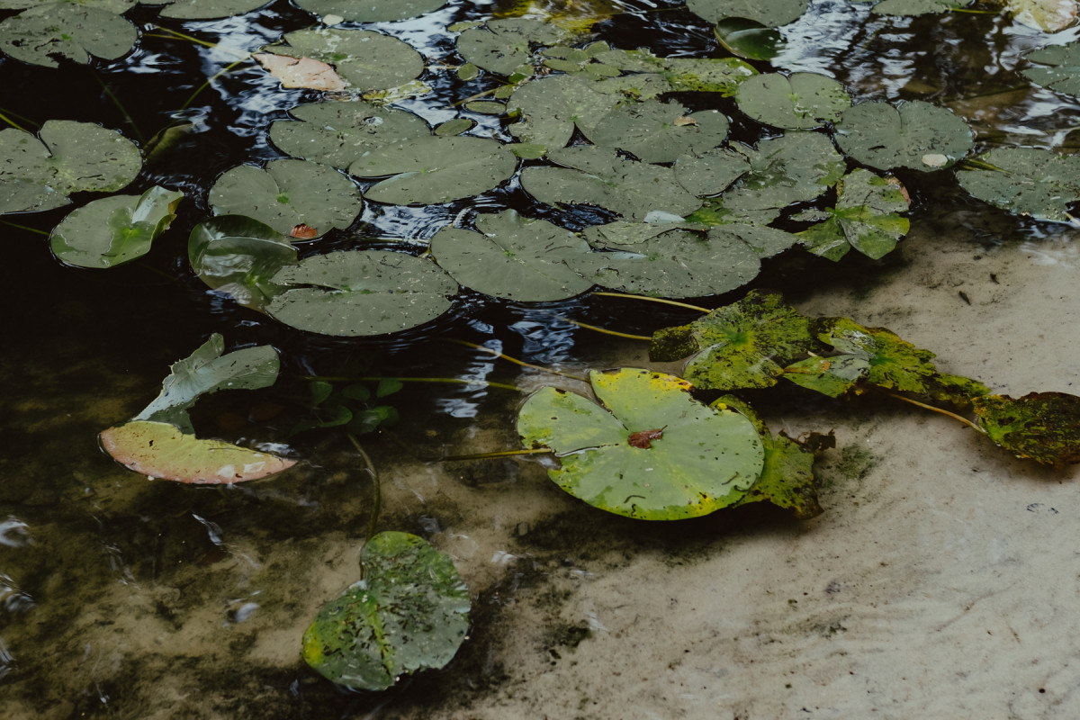 Bild 17: Wandern in Mecklenburg