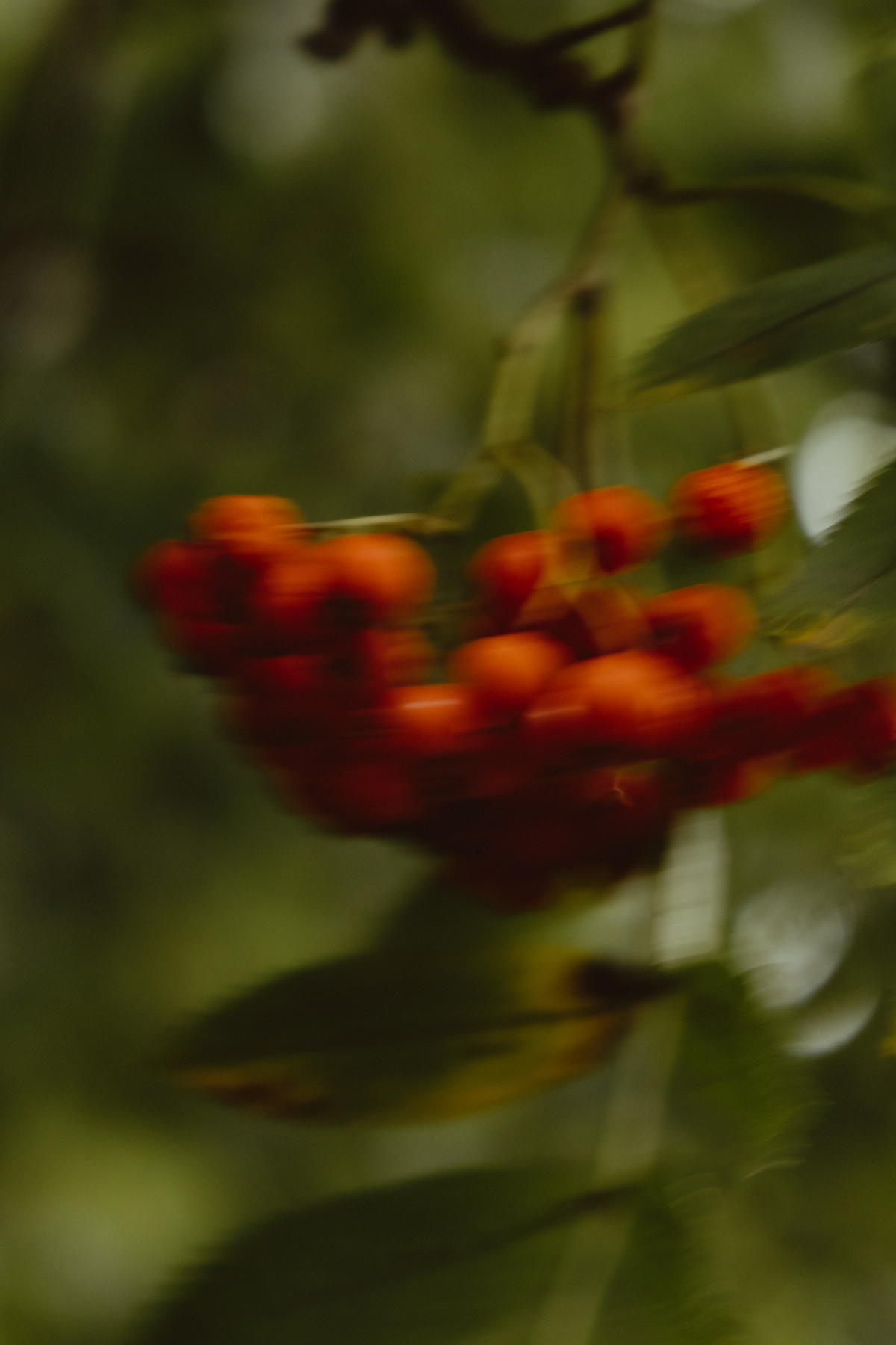 Bild 4: Wandern in Mecklenburg