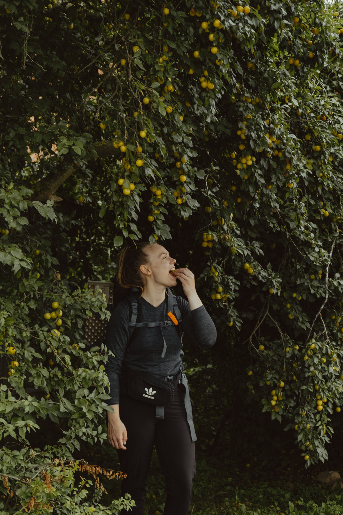 Bild 3: Wandern in Mecklenburg