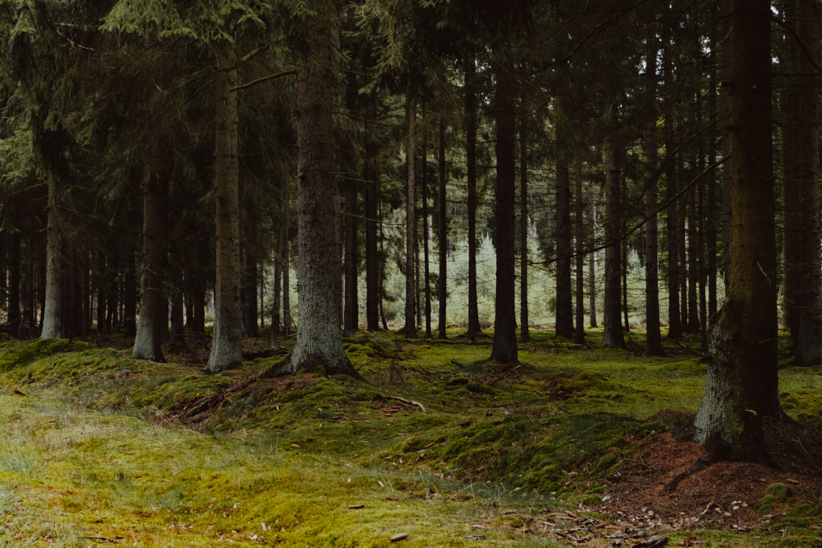 Bild 15: Wandern in Mecklenburg
