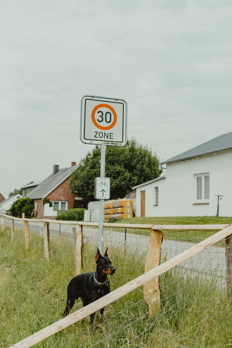 Image 6: Weltreise
