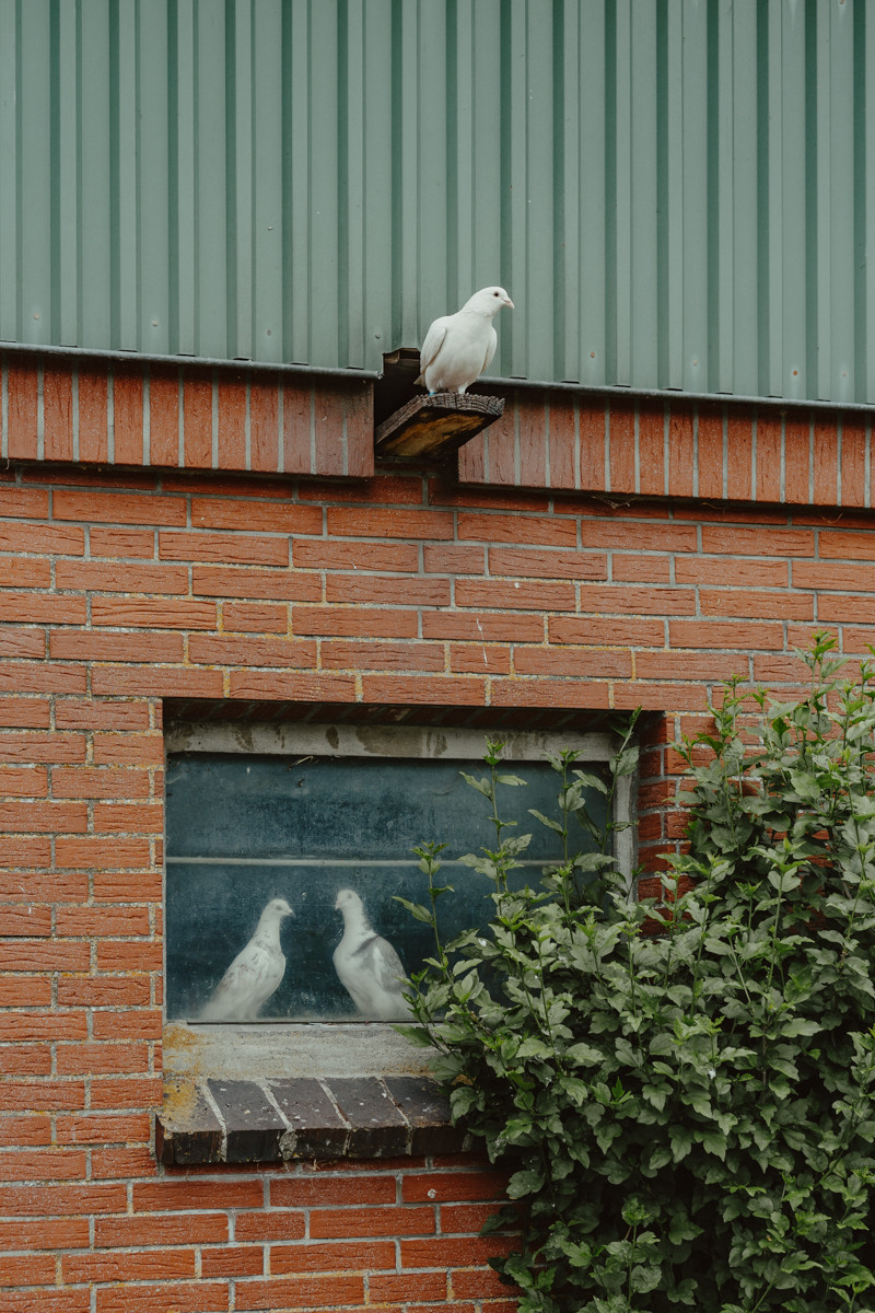 Image 13: Weltreise