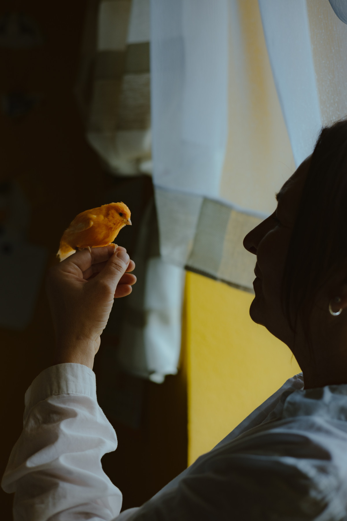 Image 6: Wioletta Drewes