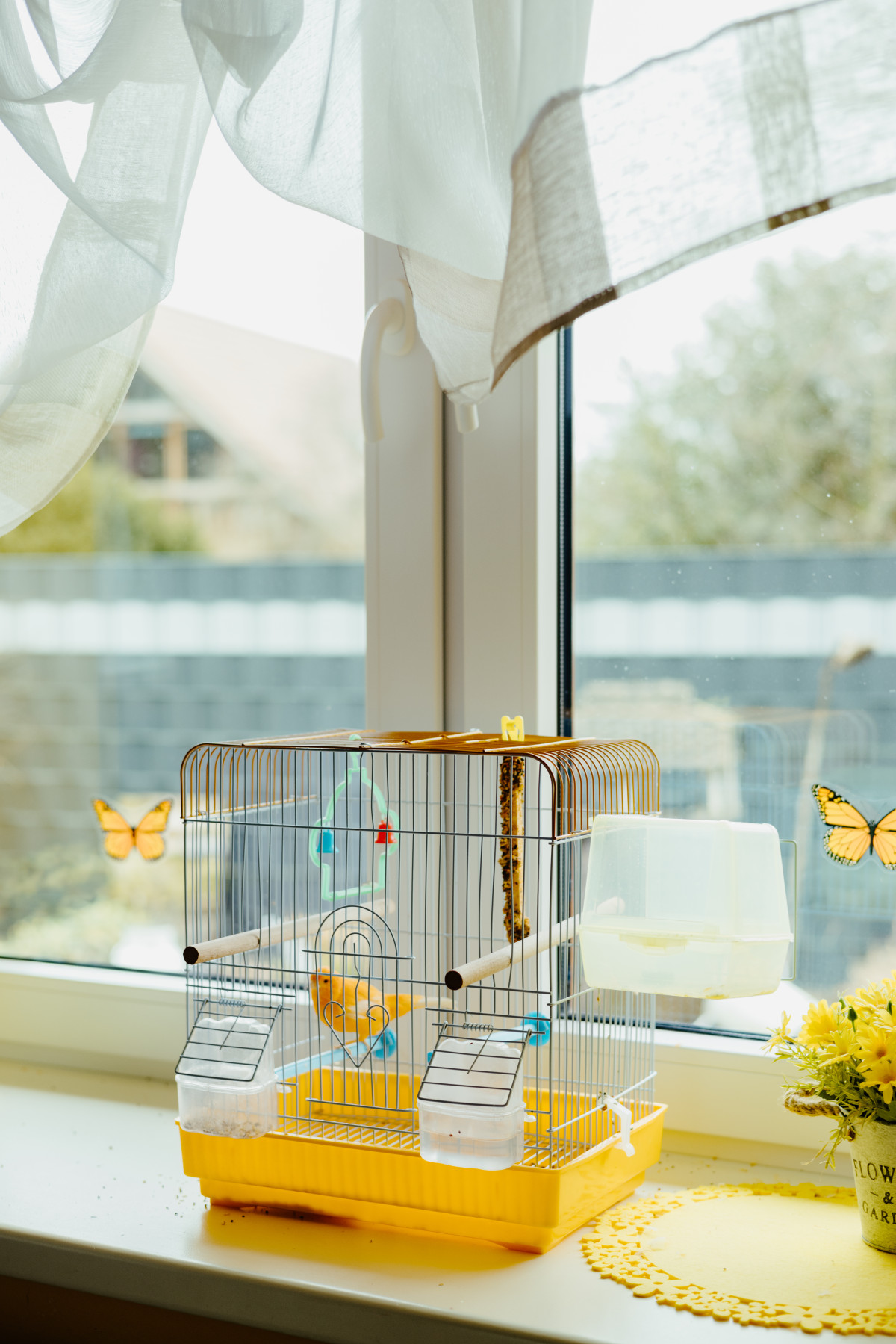 Image 9: Wioletta Drewes