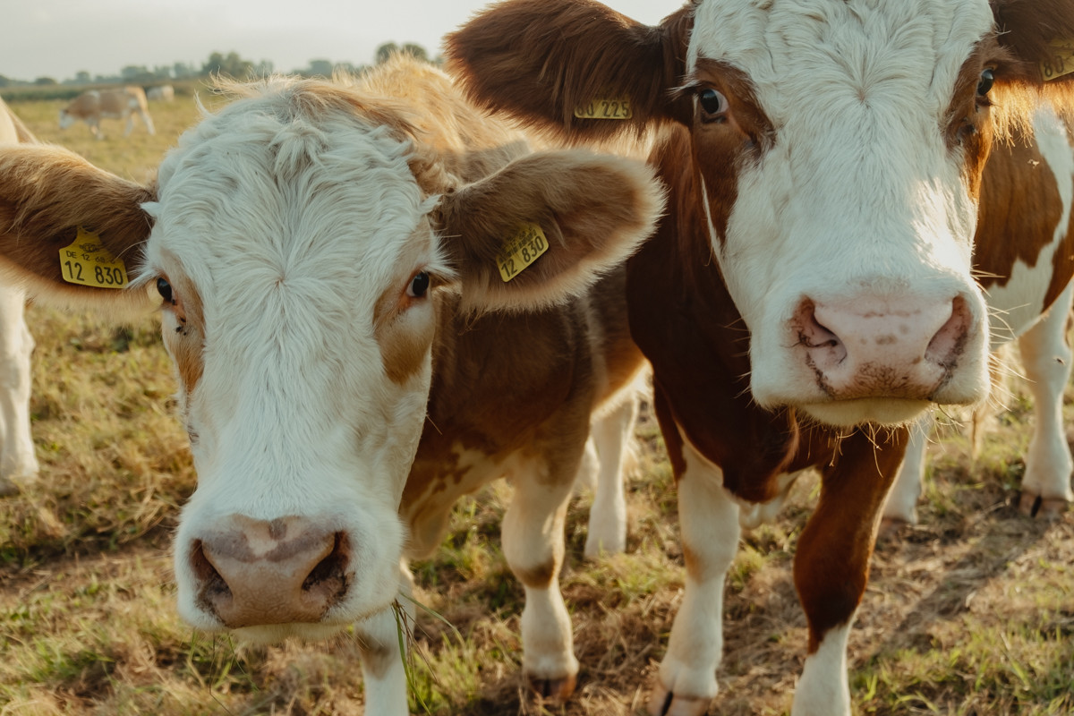 Image 17: Wittenberge