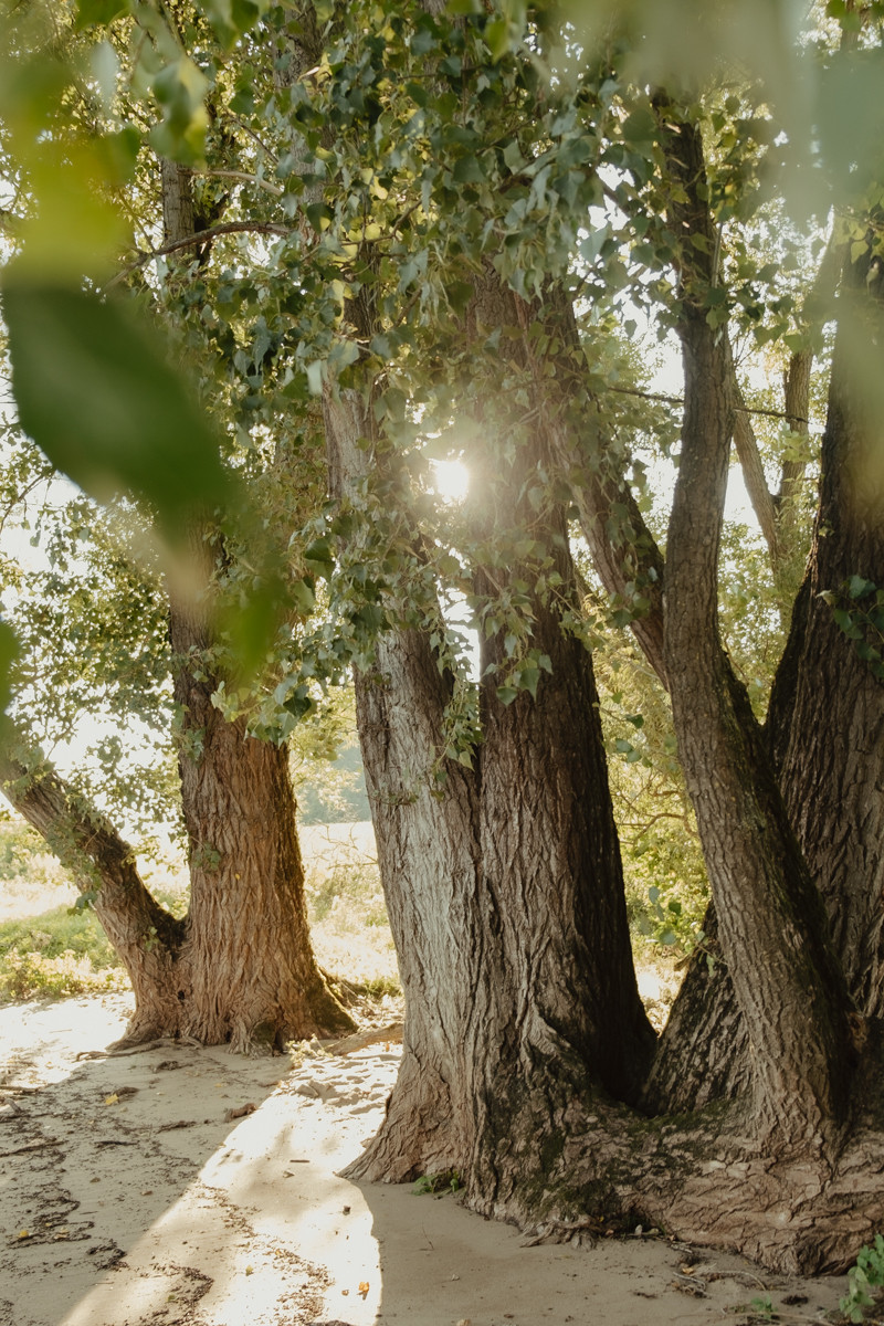 Bild 16: Wittenberge